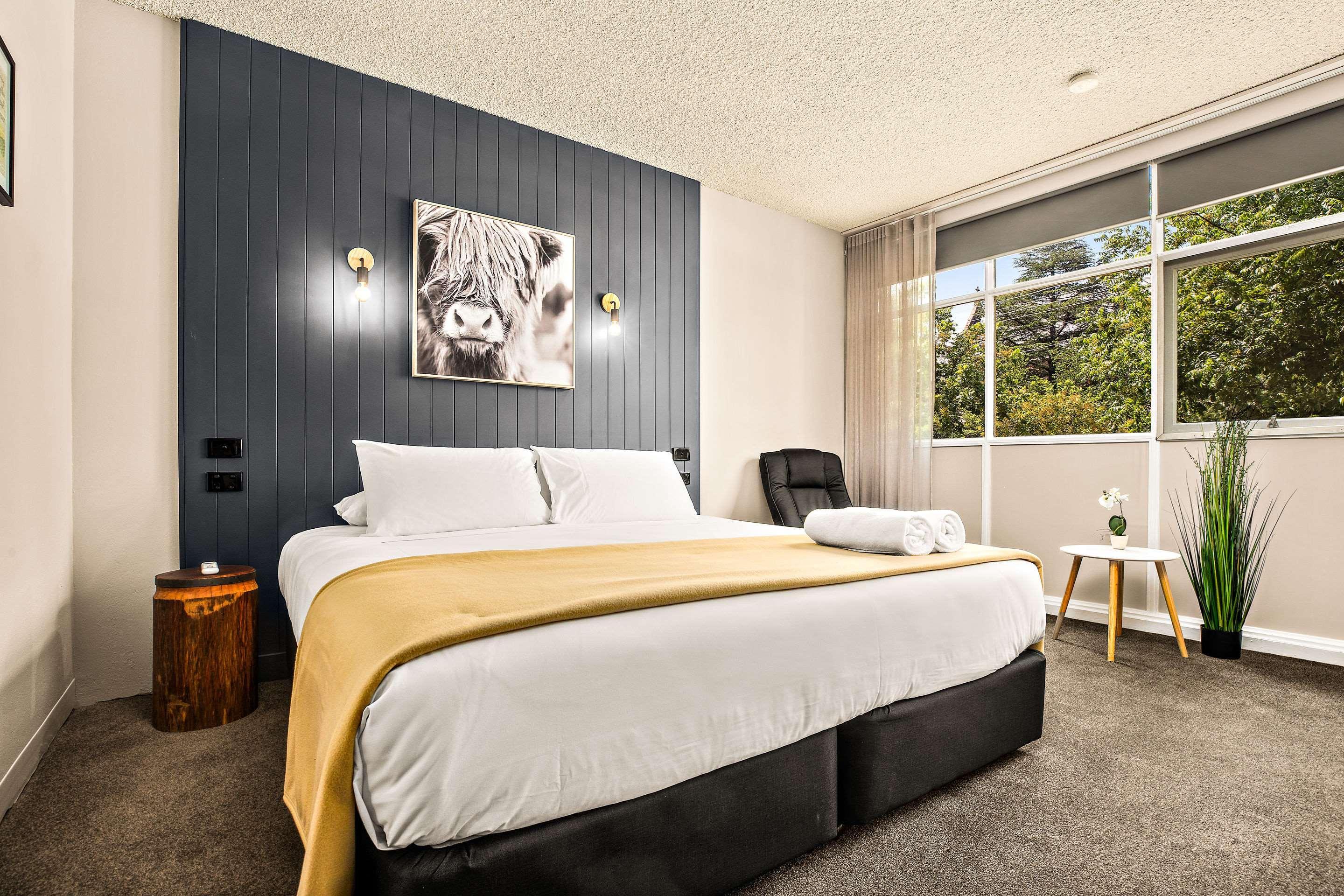 City Centre Motel ארמידייל מראה חיצוני תמונה